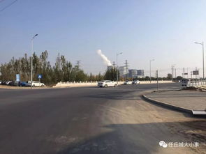 河北任丘惊现“方形”绿化树木，网友质疑背后真相大揭秘