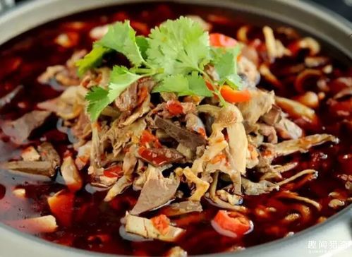 卤鹅哥因宣传家乡美食获奖10万：从追星到成为家乡名片