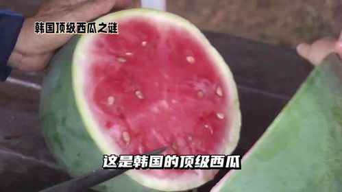 西瓜视频与抖音的融合：农产品电商的新机遇