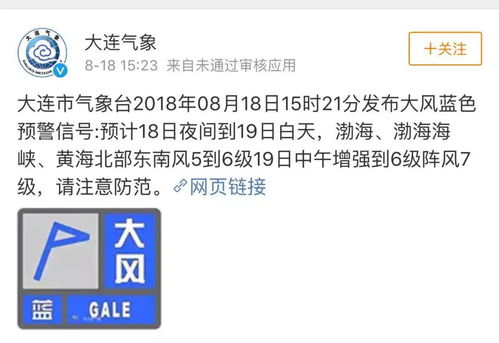 全网最早大风预测！大二学生‘气象之语’如何成为天气界的黑马
