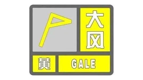 河南大风黄色预警下的那些事儿