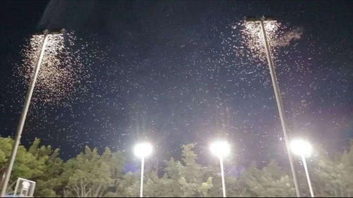 湖南壶瓶山突现“天幕关灯”！周边商户：长这么大第一次见