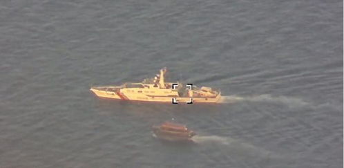 受伤玳瑁撞击舰船求助，海警细心救助放生