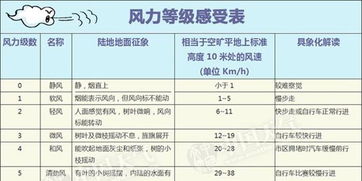 10级大风到底有多大？亲历者告诉你有多恐怖