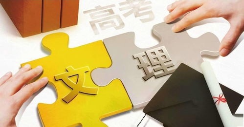 她说自己是废物文科生，却因职业规划逆袭人生