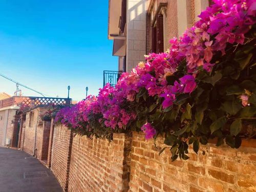 厦门鲟游文化小程序战略成功，打造文旅新标杆