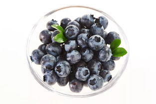 蓝莓表面的白霜是农药残留？真相揭秘让你安心吃蓝莓
