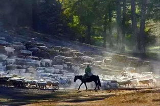 万宁与晚安的古风转场：一场穿越时空的视听盛宴