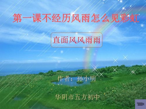 直面风雨 坚韧前行：我国外贸企业如何应对美国加征关税