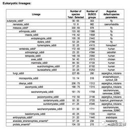BUSCO评估基因组完整性：从科研到实际应用的突破