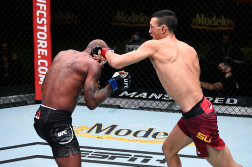 苏木达尔基分歧判定获胜：一场热血格斗的深度解读