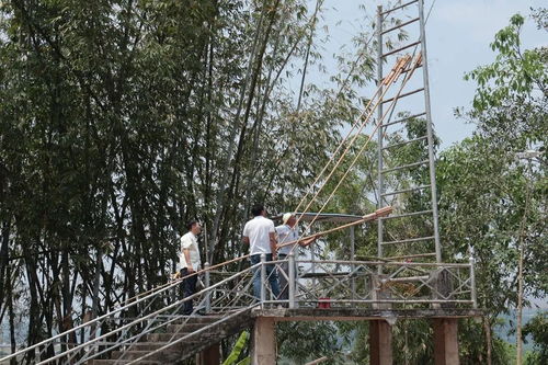 2025年泼水节来啦，德宏与西双版纳的狂欢盛宴