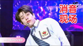 ENHYPEN开麦夜：与偶像近距离的心跳体验