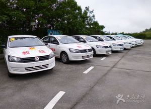 驾校教练车“开上树”竟是招生宣传？真相令人哭笑不得