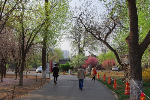 清晨的公园：一场心灵的邂逅