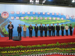 中越经贸合作：以利相融，共赢未来