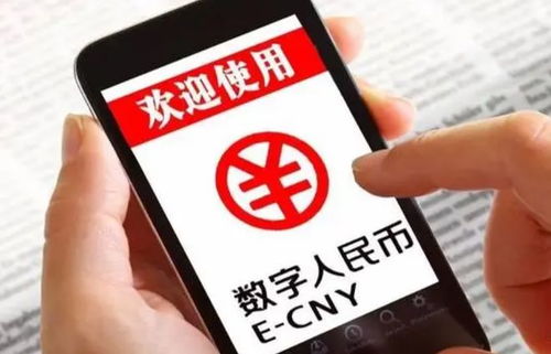 官方辟谣成立数字人民币银行：背后真相与影响解析