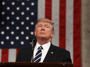 特朗普家族与加密货币的财富密码