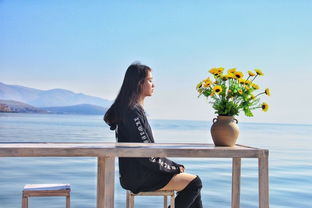 邂逅生命的光与暖：在平凡中发现美好