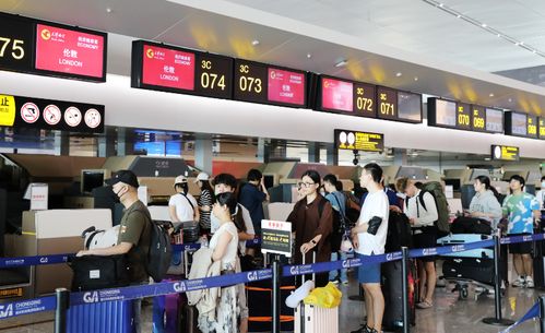 拒绝上学？孩子的心声你真的听懂了吗