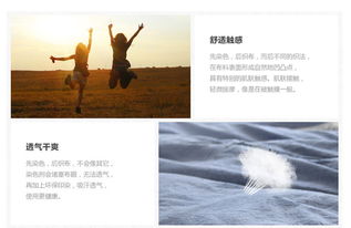 周末的慢调时光：京城冬日里的静谧美好