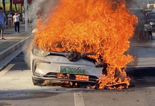 美车辆起火事件：24000磅鸡蛋被毁背后的真相