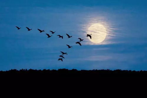 扒一扒《雁回时》那些用心的细节·服化篇