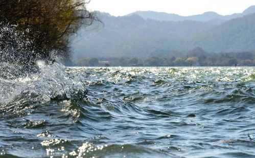 杭州大风西湖变“西海”，亲历者讲述惊险一刻