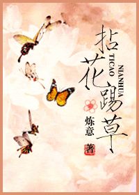 风华万代：万带兰的奇妙世界