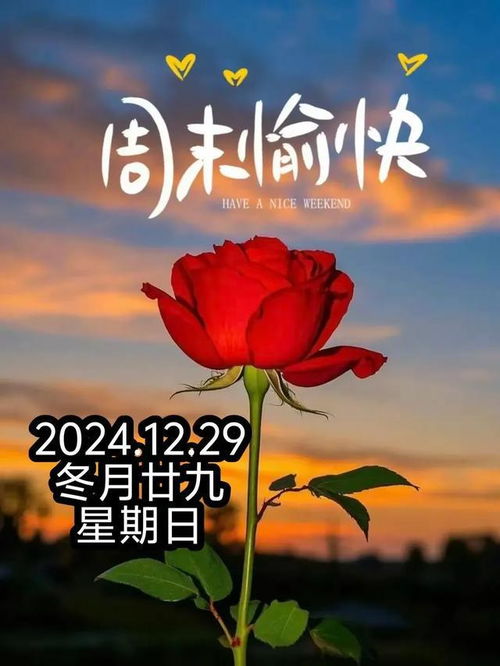 周末时光：在忙碌生活中找到属于自己的宁静