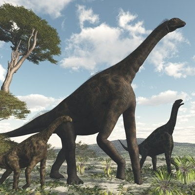 恐龙真的和现在的复原图长得差不多吗？