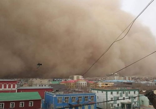 蒙古的沙吹到了海南，我经历了这场跨越千里的自然奇观