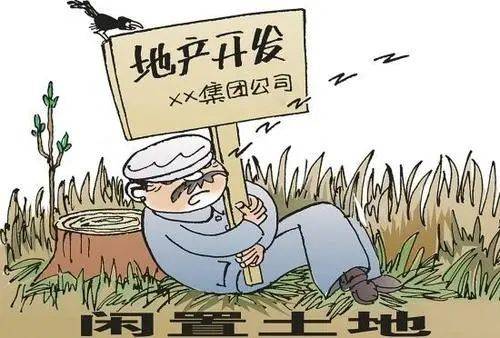 囤积的思考：数字时代下的焦虑与出路