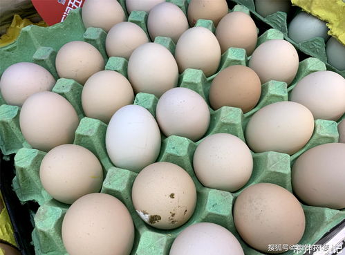 美国“蛋荒”真相：低价蛋买不到，高价蛋买不起！