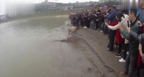 重庆多人向长江“放生”矿泉水祈福事件引发热议