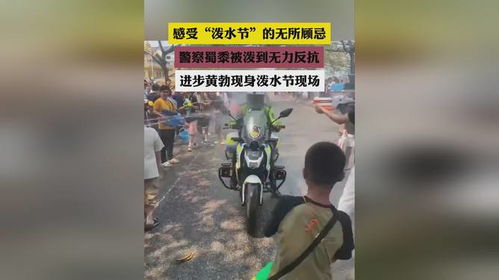 泼水节中的小狗悲剧：善待生命，尊重动物