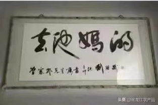 三河牌匾变色事件：从绿色到红色的风波始末