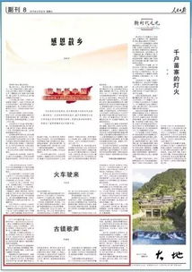 三河商家招牌禁用红蓝色，背后真相大揭秘