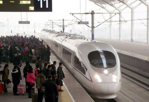 京沪高铁宠物托运服务：如何保障“毛孩子”的健康与安全？