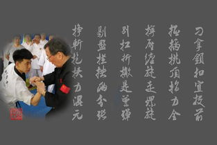 拨劲之迷惑：一场关于内心选择的深刻思考