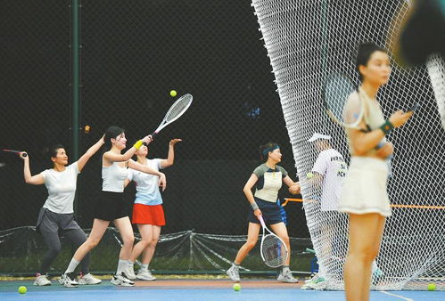 青春如弦，挥拍即燃：《网球王子》—— 少年们的绿茵场梦想交响曲