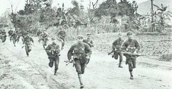 一图看懂中越友谊：跨越时空的深情厚谊