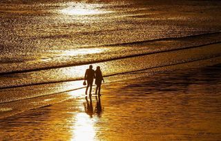 冰岛：异食癖的故乡，NOMA餐厅的独特魅力