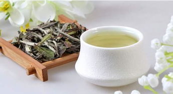 明道寿眉·时光淬炼的茶中隐逸