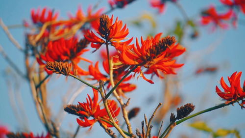 作家笔下的春天：那些「生命力拉满」的文字