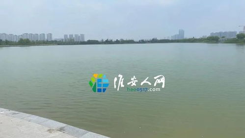 江苏淮安山阳湖悲剧：男子潜水溺亡，脚绑哑铃引发热议