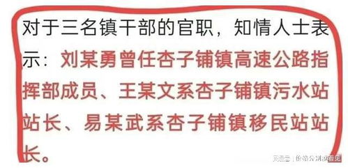 家属回应男子因思念亡妻无法释怀离世：爱与痛的交织