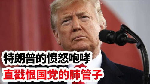 贴纸一撕，直戳特朗普肺管子：一场全球热议的讽刺