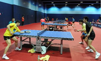 王楚钦4-0横扫萨林，世界杯小组赛完美开局！