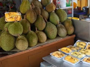中国技术让马来西亚榴莲告别盲盒